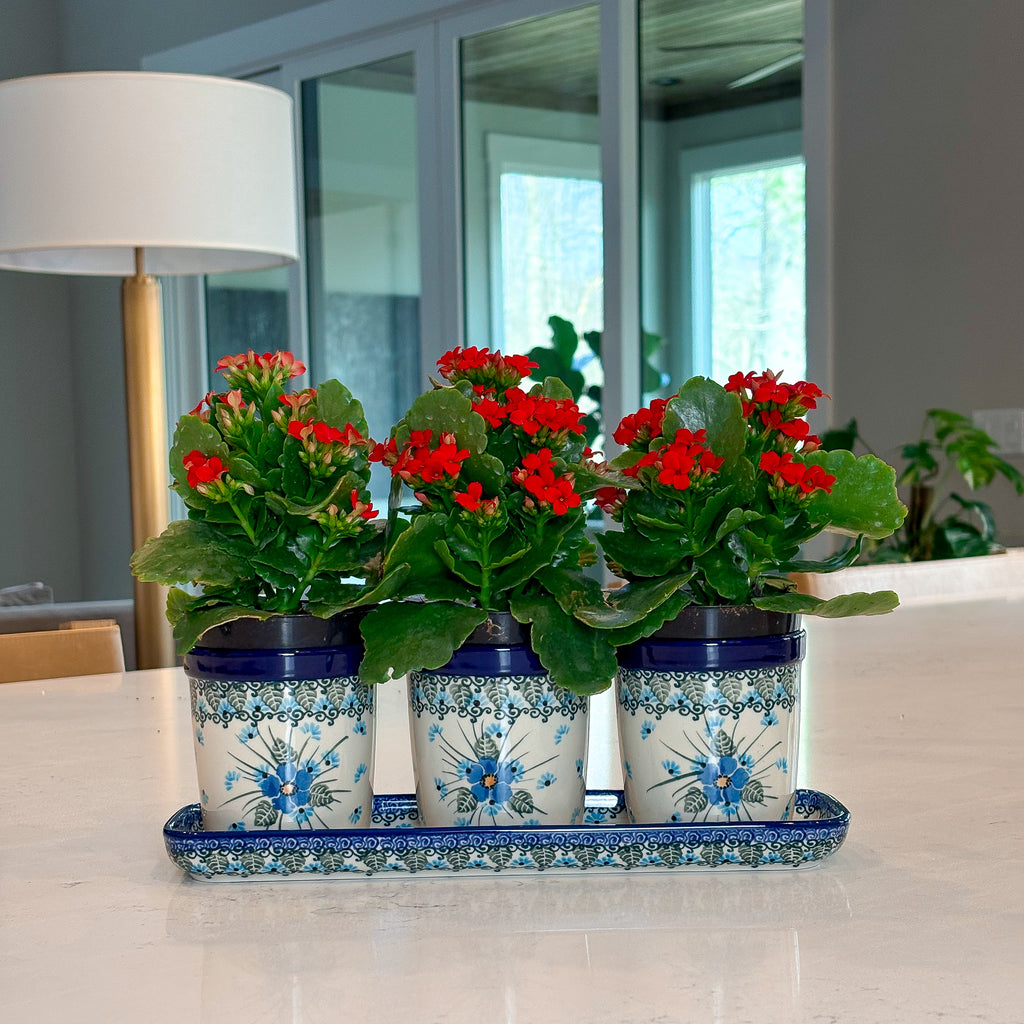 12” planter set of 3.  Handmade Polish pottery.  UNIKAT Forget Me Not Design