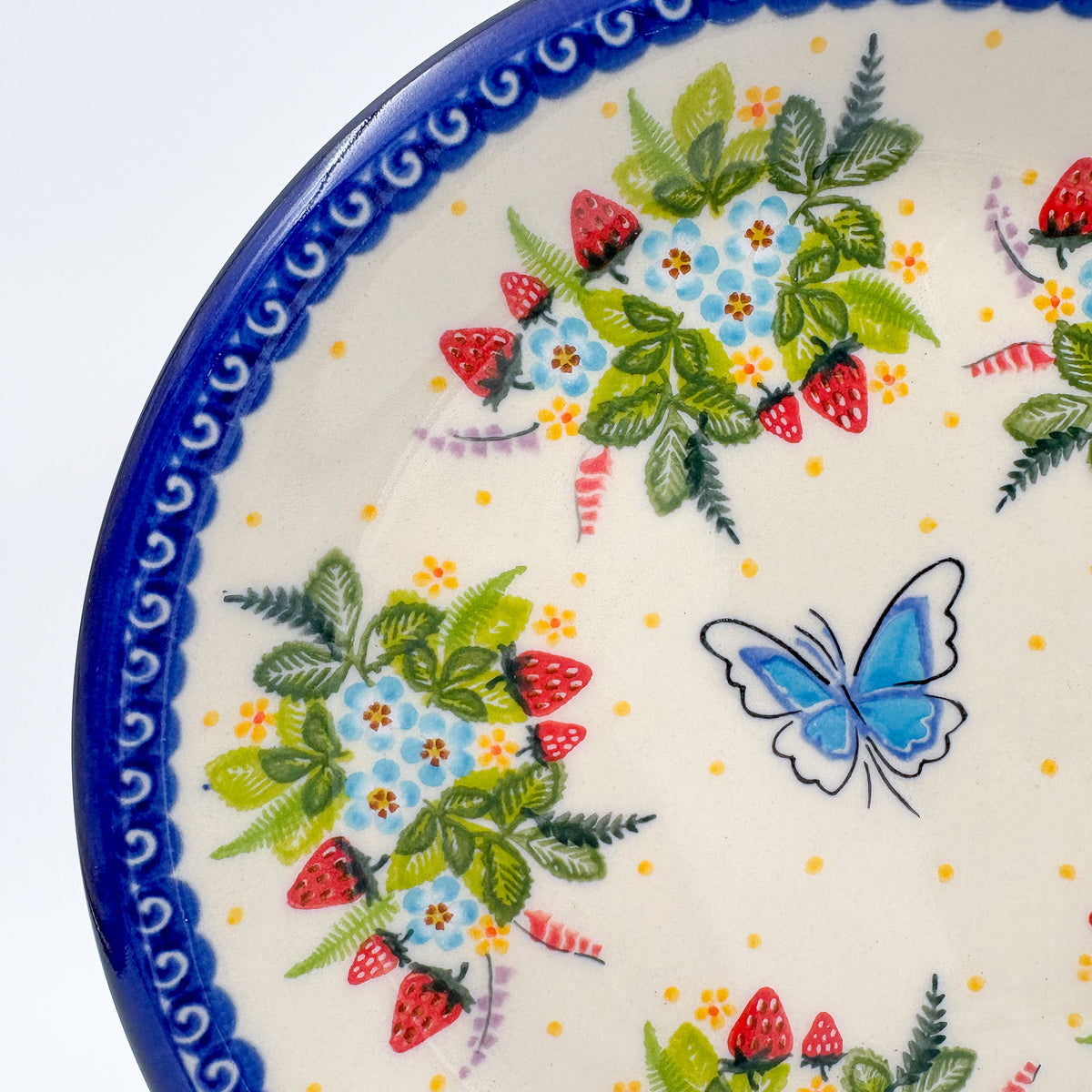 10.2” Plate.  Hand crafted Polish pottery stoneware: UNIKAT Berry Patch