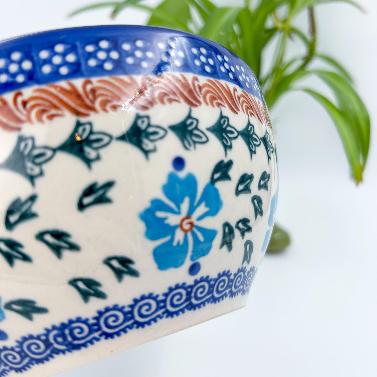 Close-up of cornflower detail on Blue Cornflower deep bowl, with plant in background