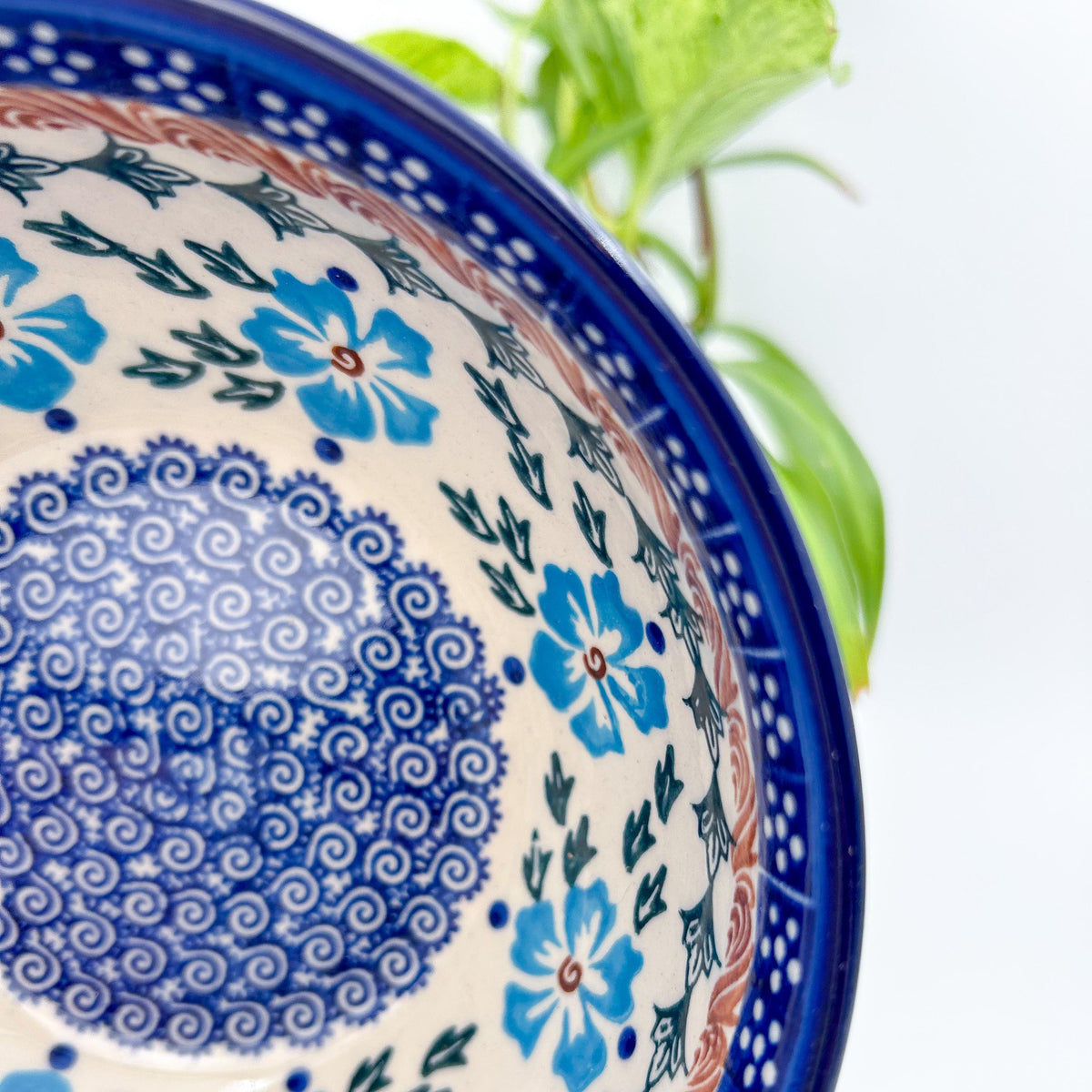 Close-up of rim and spiral medallion on Blue Cornflower deep bowl, with plant in background