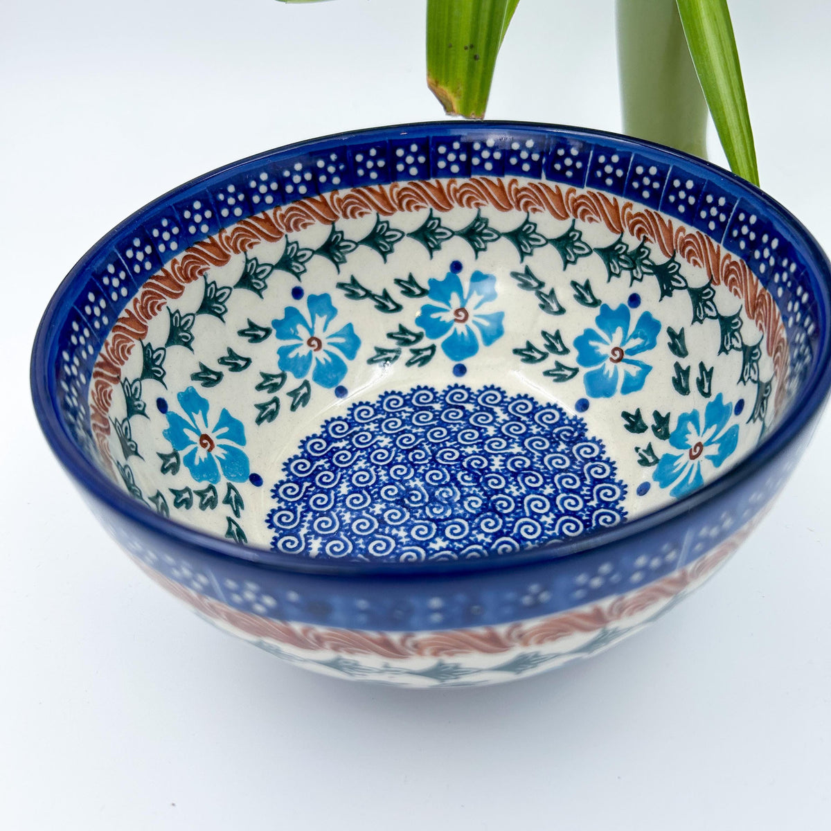 Blue Cornflower deep bowl, angled top-down view with plant in background